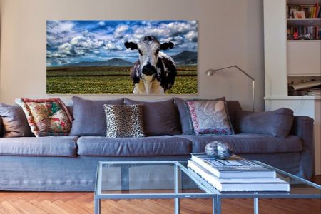 Cow Living Room