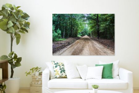 Nature Living Room